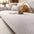 Chenille Minimalist Anti-Slip Fabric with Cat Scratch-Resistant Design Couch Cover