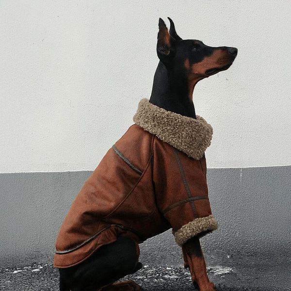 Chaqueta de perro aviador vintage con forro de oveja - cálido y elegante