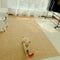 Alfombra de mascota de falso sisal alfombra de habitación resistente