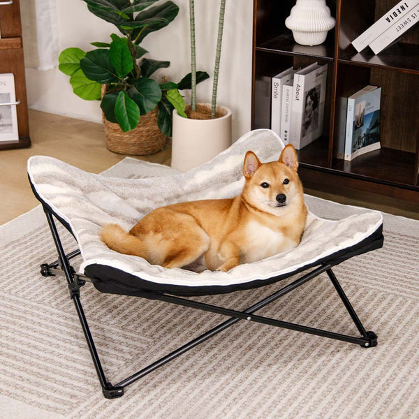 Cane da campeggio esterno portatile pieghevole Elevable Dog e gatto