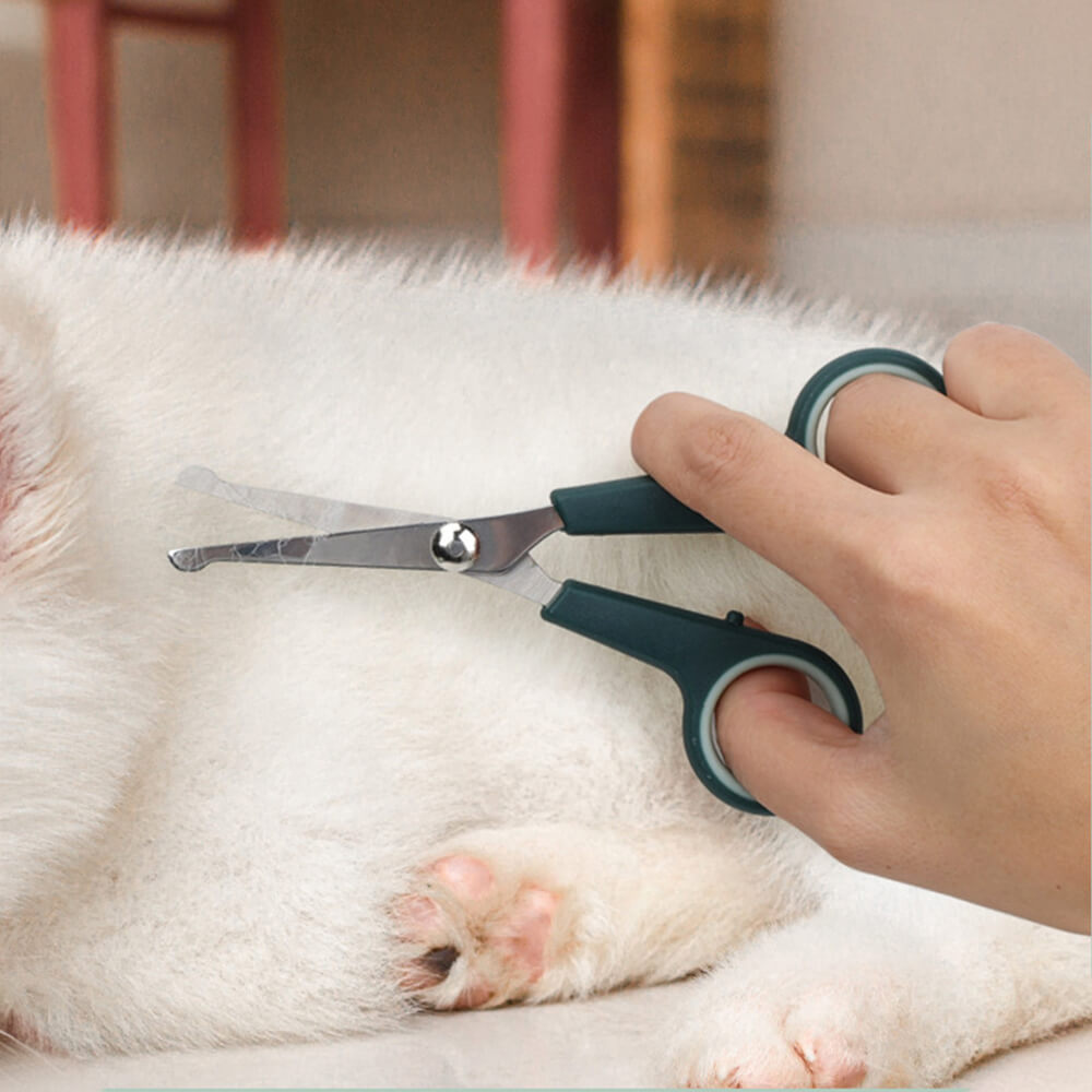 Kit completo de cuidado y depilación todo en uno para mascotas