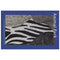 Animal Print Anti-Stain Non-Slip Front Door Mat for Muddy Dog Paws