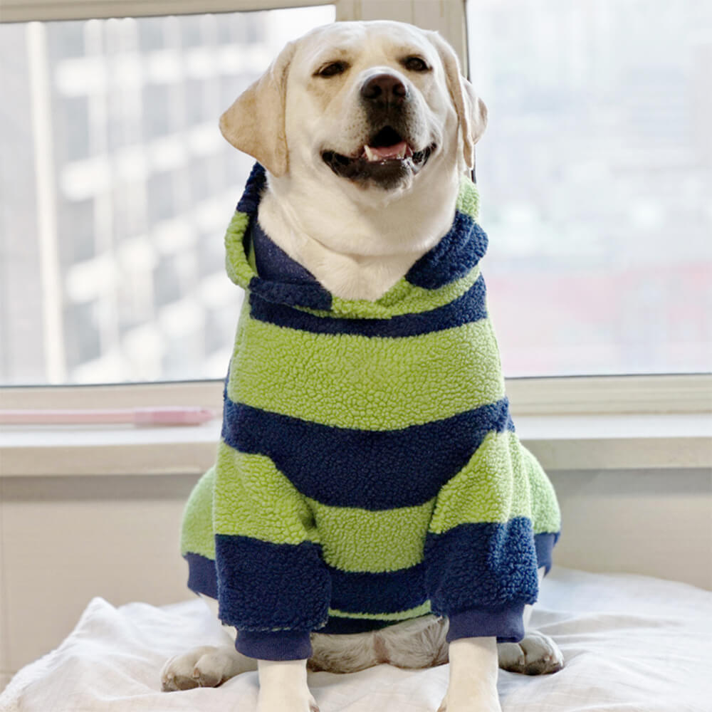 Bold Color Stripe Warm Breathable Dog Hoodie