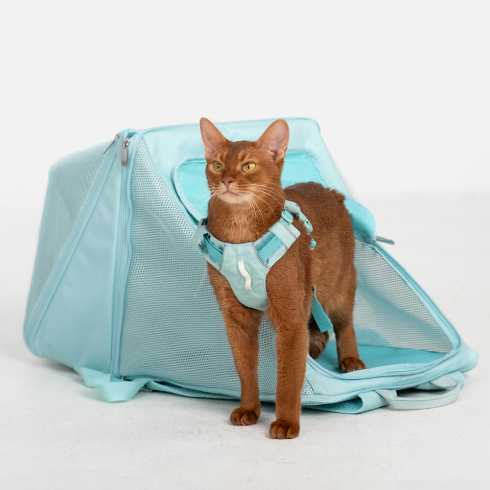 Breathable Nylon Foldable Waterproof Lightweight Dog & Cat Backpack