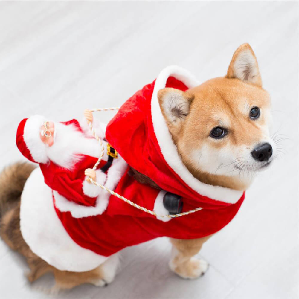 Costume de chien Cosplay pour animaux de compagnie, fête de noël, père noël