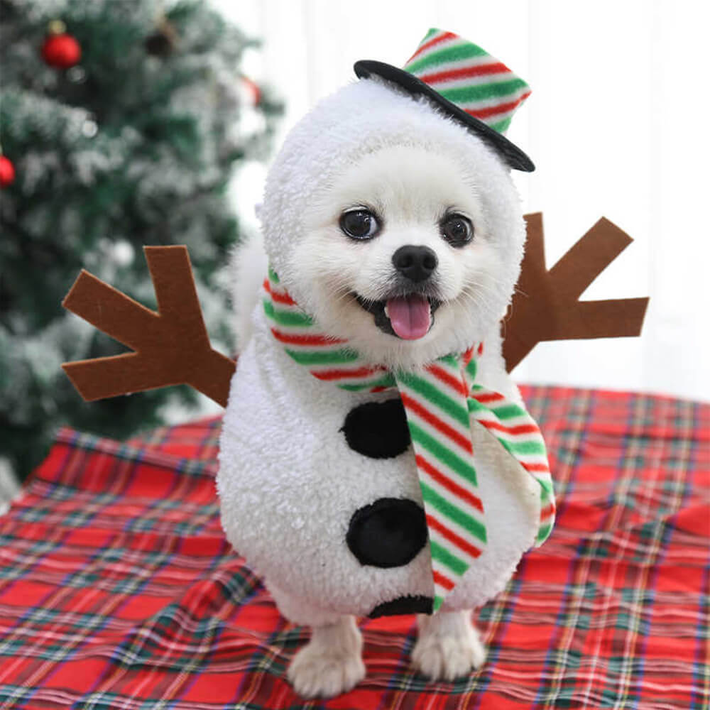 Tenue de bonhomme de neige de noël, Costume de Cosplay pour chien et chat