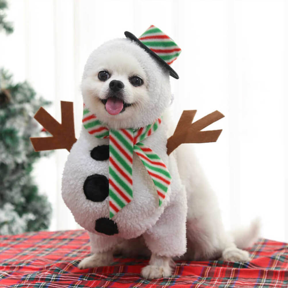 Tenue de bonhomme de neige de noël, Costume de Cosplay pour chien et chat