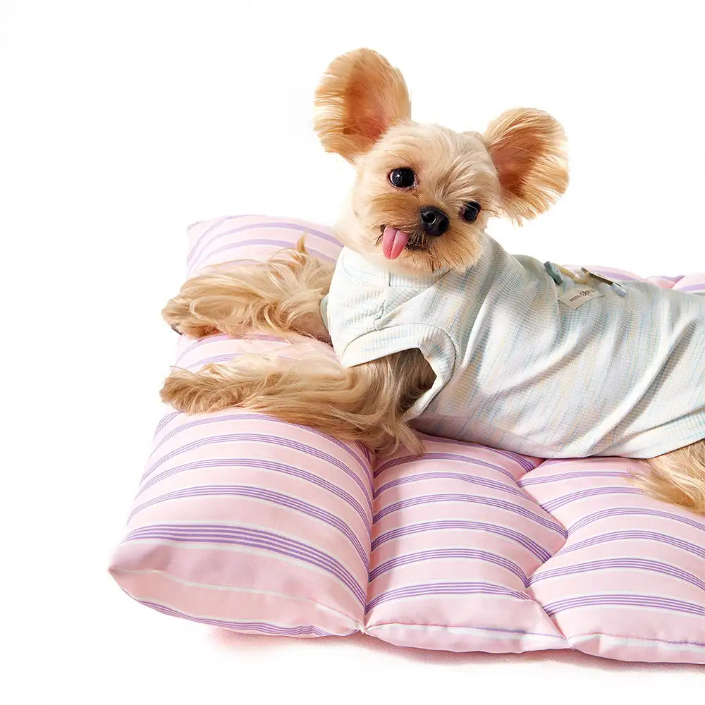 Color-Blocked Striped Breathable Double-Sided Soft Pet Mat