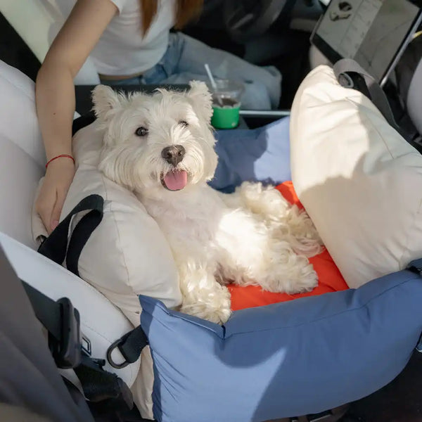 Color-block Travel Booster Multi-Functional Dog Car Seat Bed