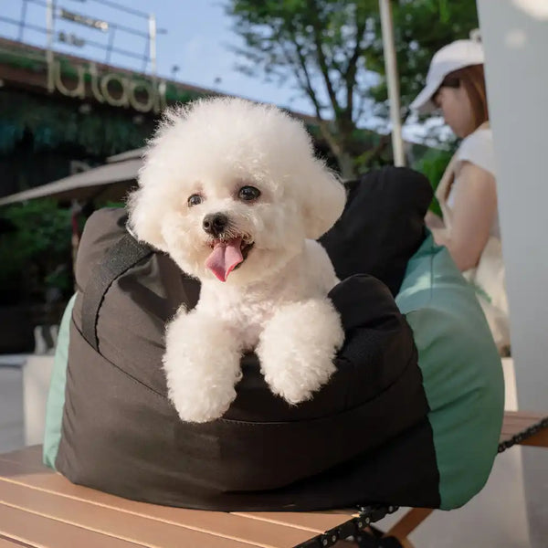 Color-block Travel Booster Multi-Functional Dog Car Seat Bed