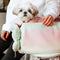 <tc>Color</tc>Bolsa de transporte portátil para mascotas, impermeable, de cuero PU, de moda colorida