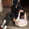 <tc>Color</tc>Bolsa de transporte portátil para mascotas, impermeable, de cuero PU, de moda colorida