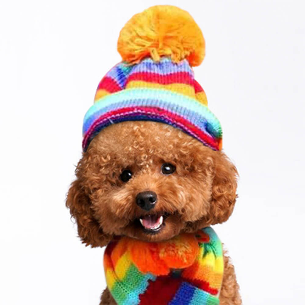 Colorful Striped Knit Pom Pom Cozy Dog Hat Scarf & Socks Set