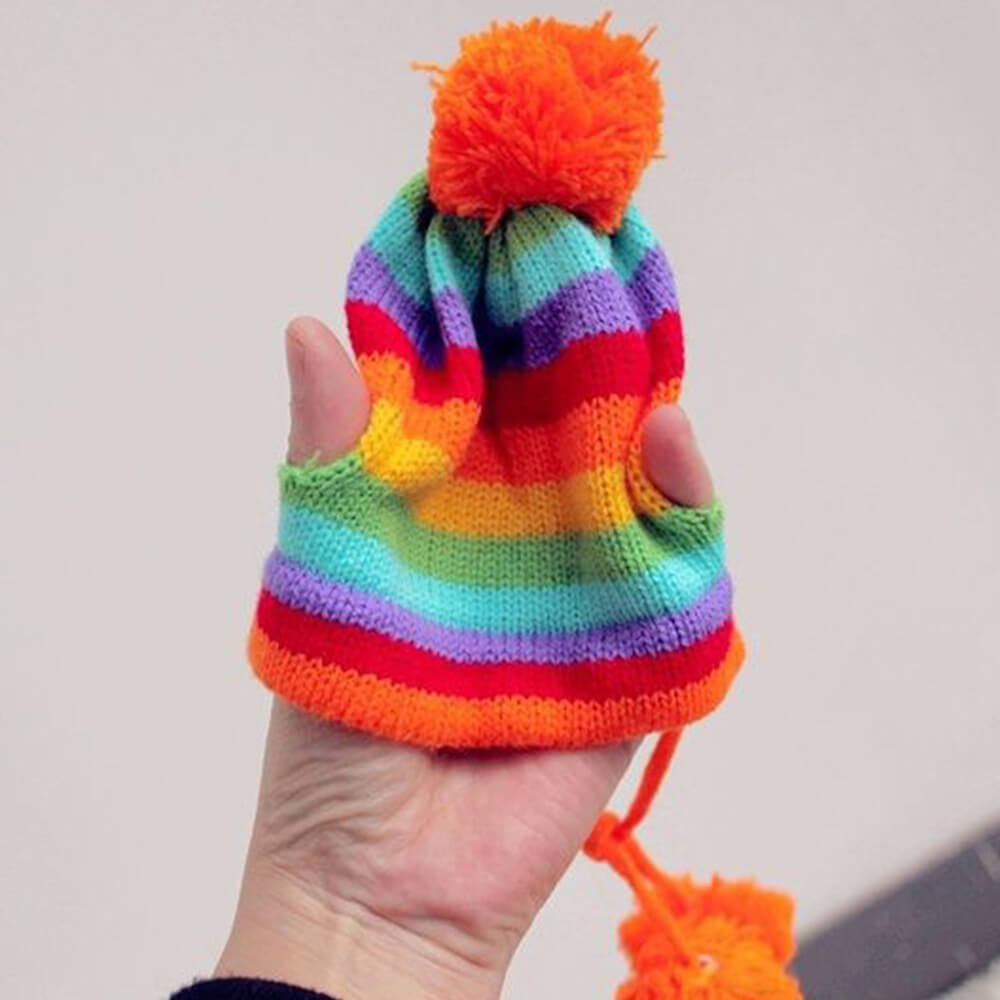 Colorful Striped Knit Pom Pom Cozy Dog Hat Scarf & Socks Set