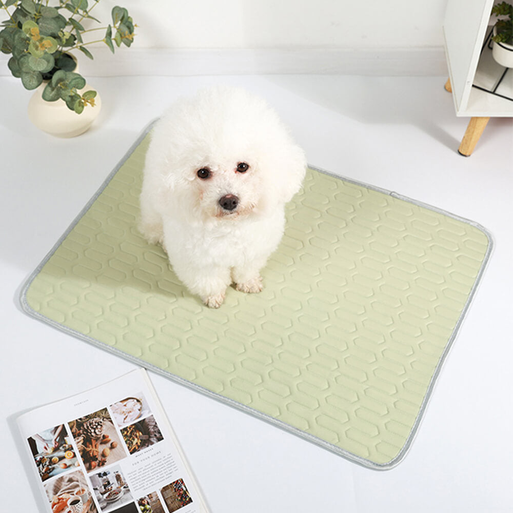 Cooling Washable Non-Slip Breathable Ice Silk Dog &amp; Cat Mat