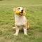 Hantel-Silikon-Slow-Feeder, langlebiges, interaktives Hundespielzeug