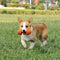 Hantel-Silikon-Slow-Feeder, langlebiges, interaktives Hundespielzeug