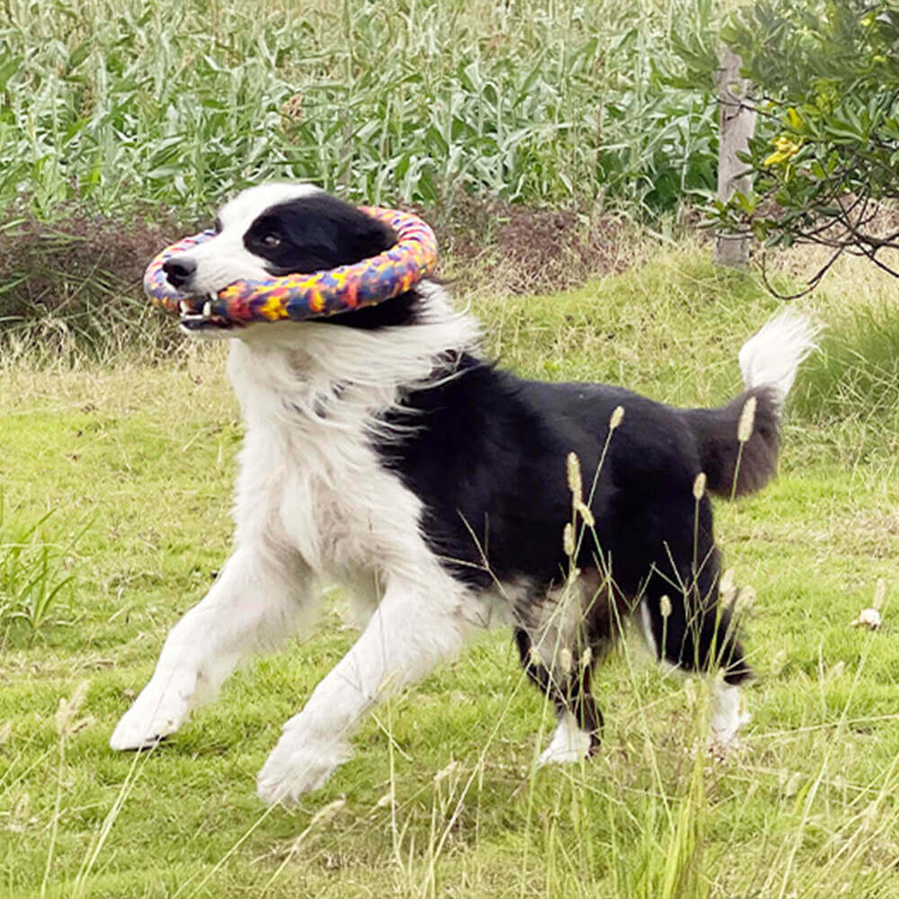 Juguete duradero de camuflaje para perros, cuerda resistente a masticar, serie de juguetes flotantes para agua