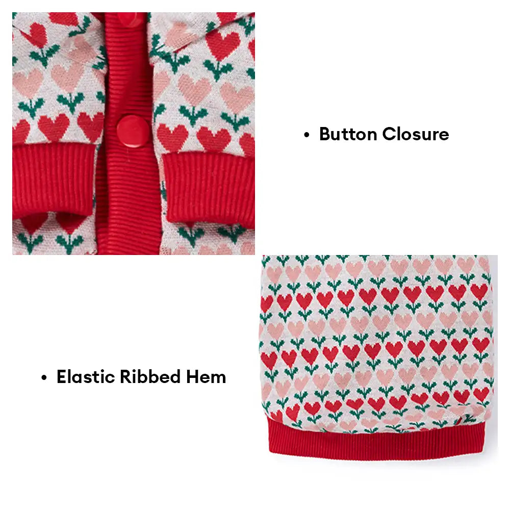 Fair Isle Heart Patterned Dachshund Cardigan Dog Sweater