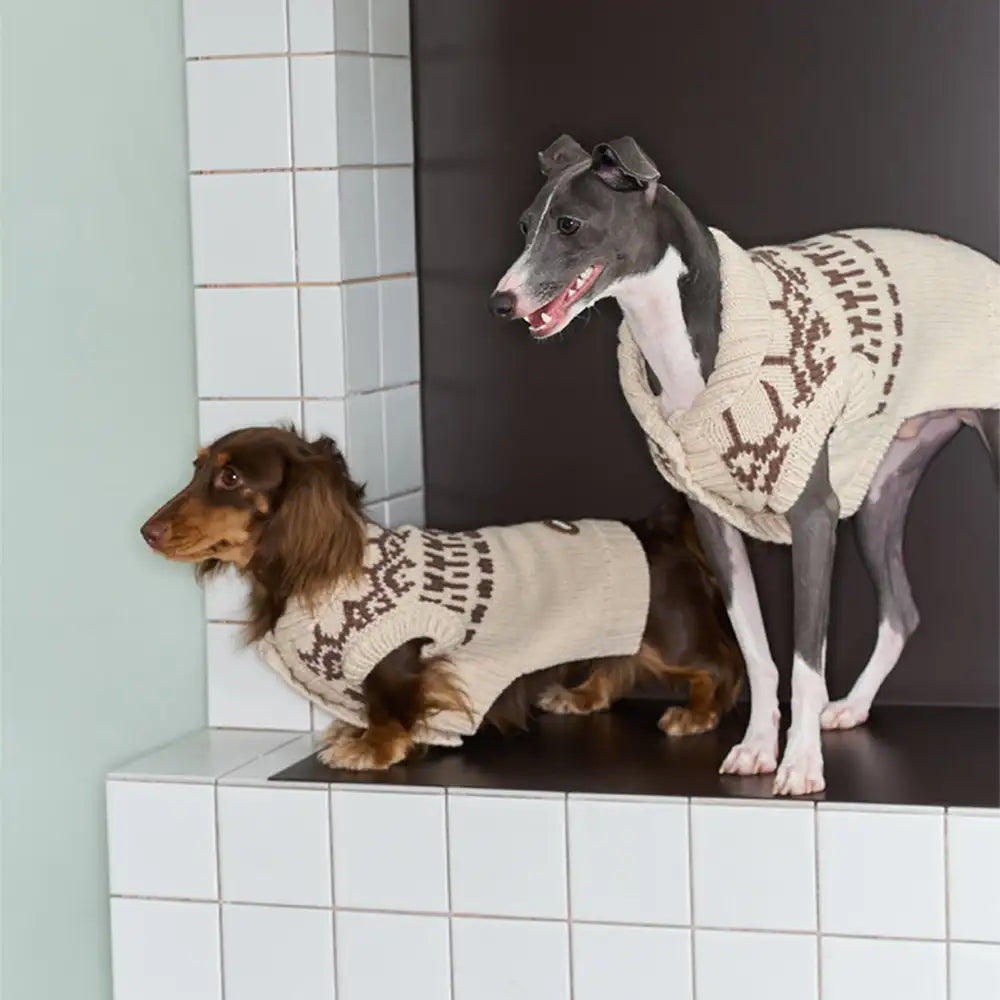 Fair Isle Pattern Dachshund Sleeveless Dog Sweater
