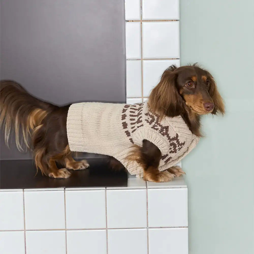 Fair Isle Pattern Dachshund Sleeveless Dog Sweater