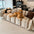 Fashion Striped Chenille Scratch-Resistant Sofa Protection Couch Cover