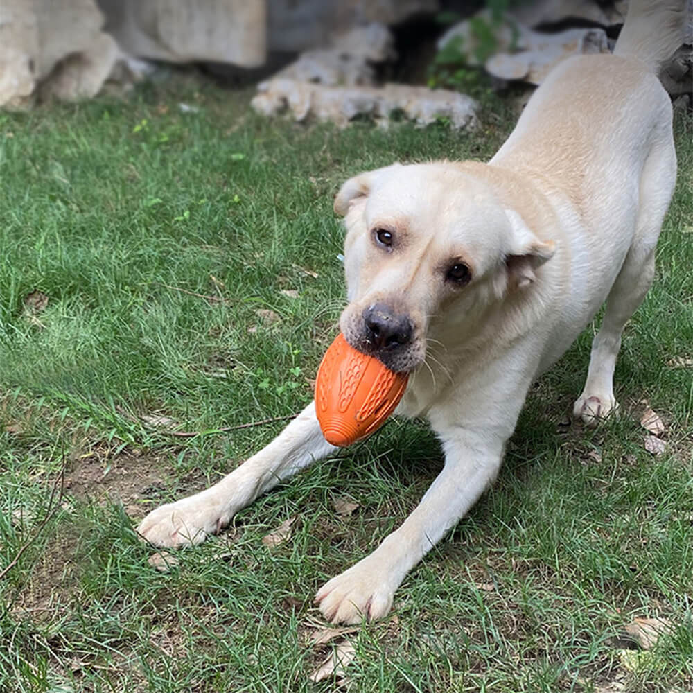 Jouet à mâcher pour chien en forme de football, friandises cachées, jouet interactif