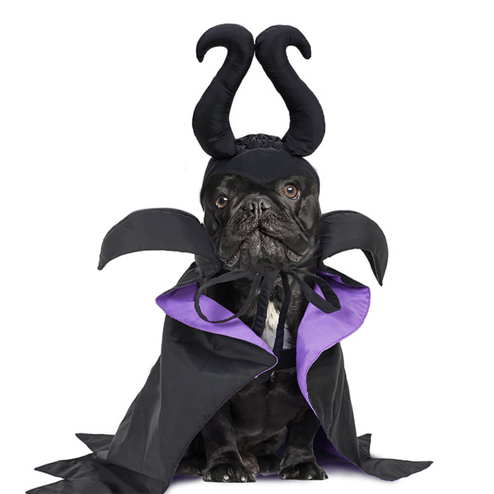 Halloween Witch Cloak Costume Pet Apparel