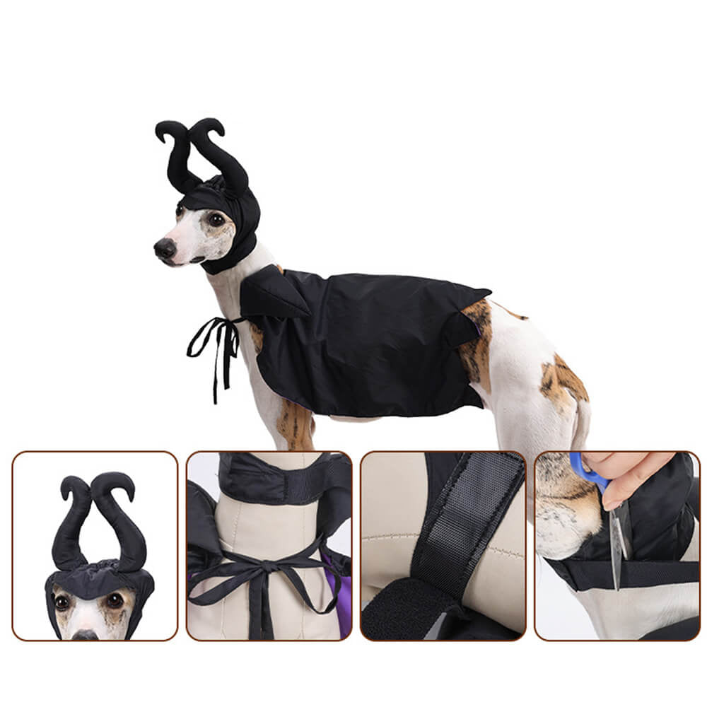 Disfraz de capa de bruja de Halloween Ropa para mascotas