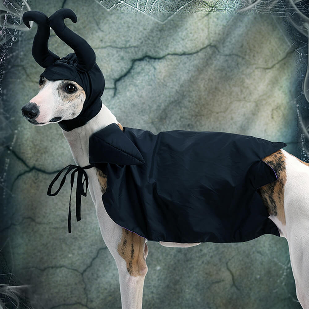 Halloween Witch Cloak Costume Pet Apparel