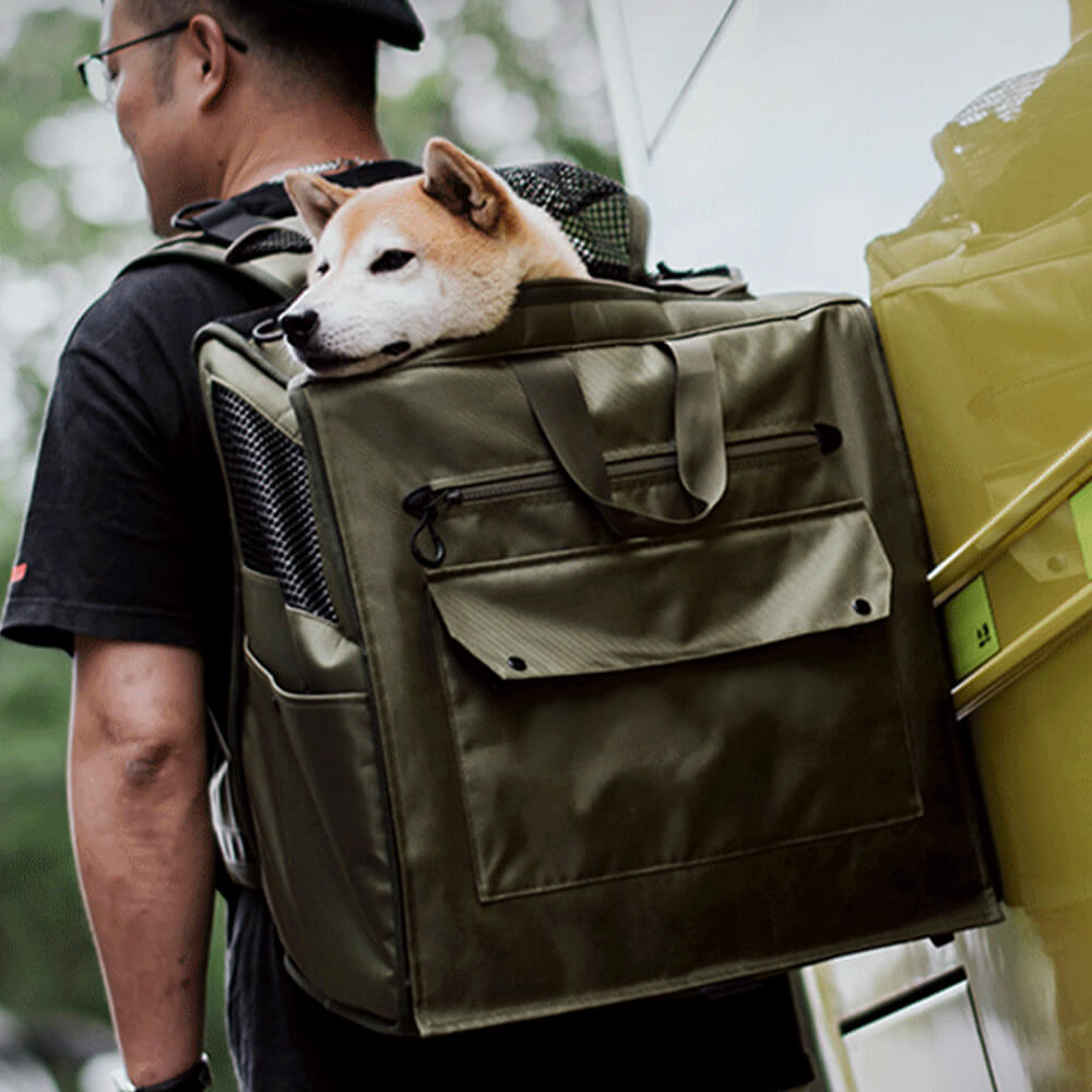 Sac à dos de transport pour animaux de compagnie, grand espace, maille respirante, imperméable, voyage