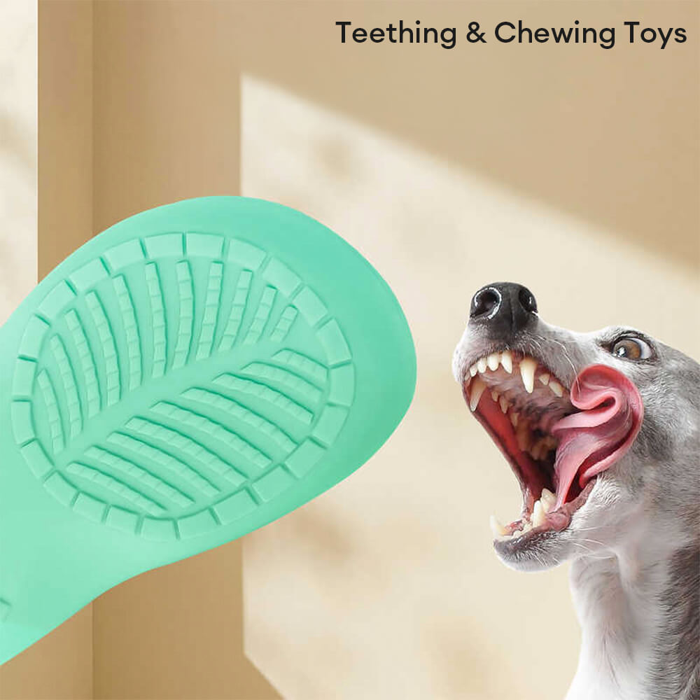 Jouet interactif et Durable pour chien, pantoufles en Latex, couineur, nettoyage des dents