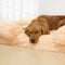Long Plush - Lit pour chien à sommeil profond à support carré