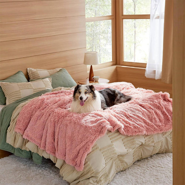 Luxurious Water Water Water Water Plush Warm Warm Multi-Purpose Home Dog Maneta de perros