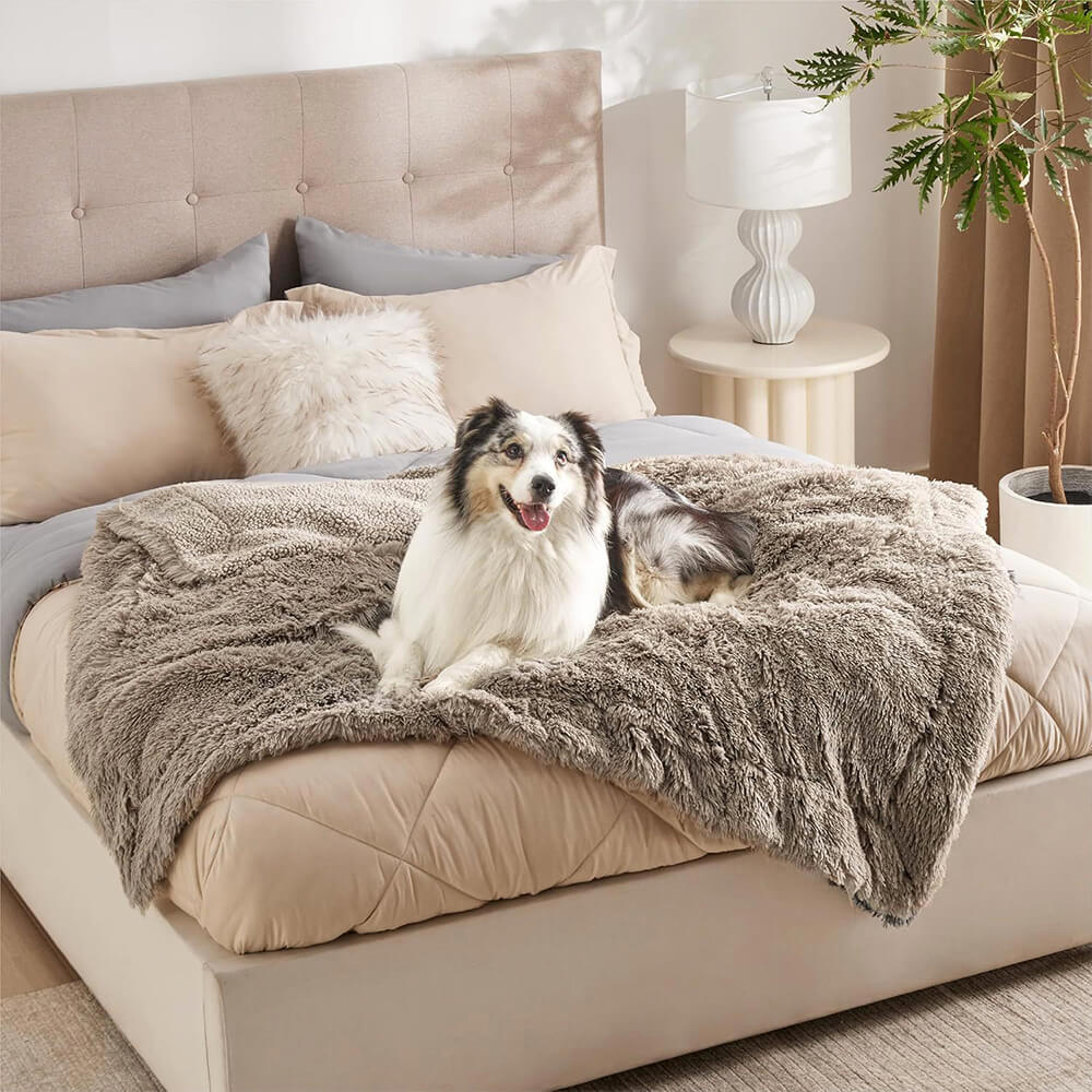 Luxurious Waterproof Plush Warm Multi-Purpose Home Dog Blanket