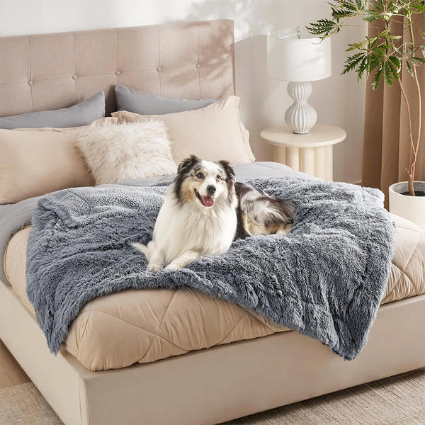 Luxurious Water Water Water Water Plush Warm Warm Multi-Purpose Home Dog Maneta de perros