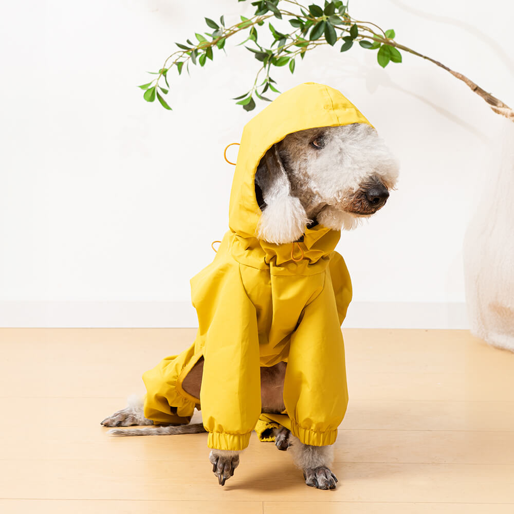 Outdoor Lightweight Waterproof Dog Raincoat with Hood