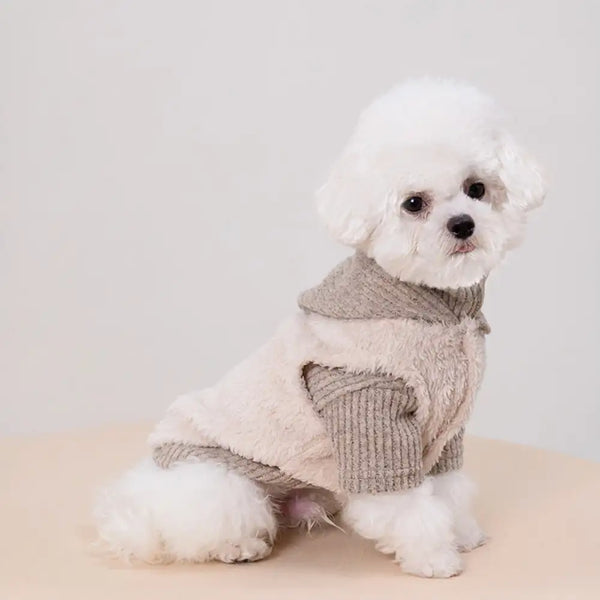 Plush Coat & Matching Turtleneck Sweater Two-Piece Dog Outfit Set