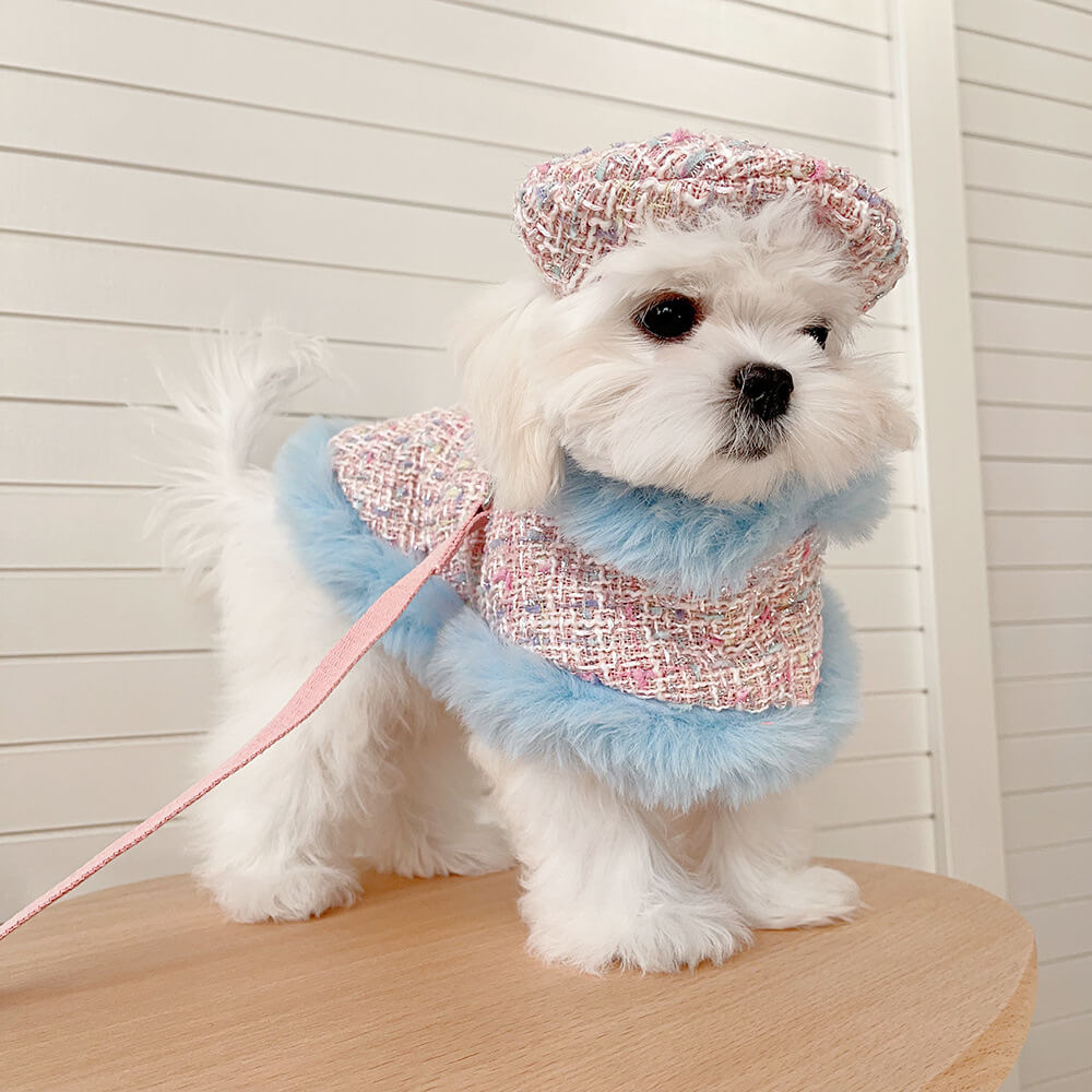 Princess Style Dog & Cat Beret Cape Leash Accessories Set