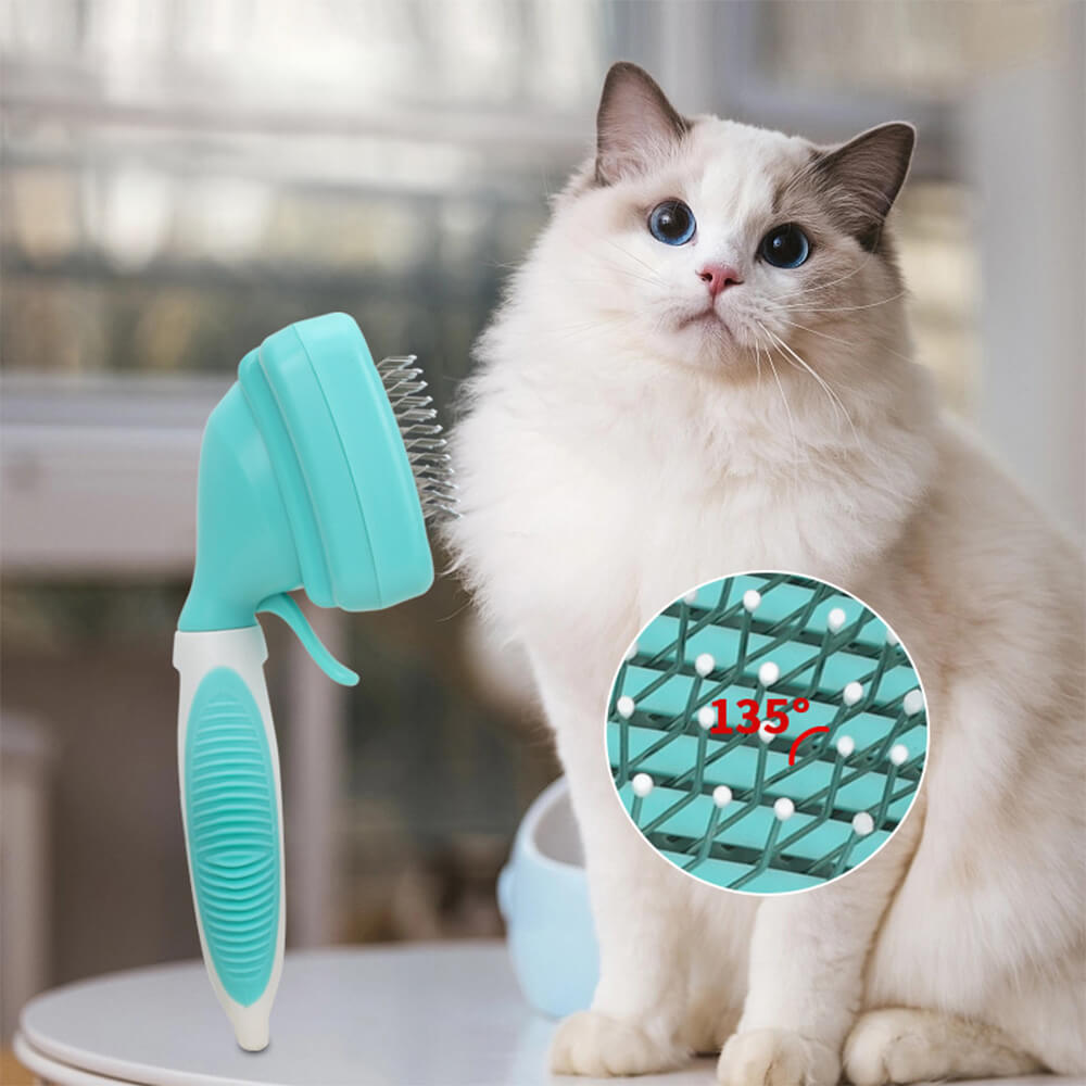 Kit de soins professionnels, ensemble complet d'outils de toilettage pour animaux de compagnie