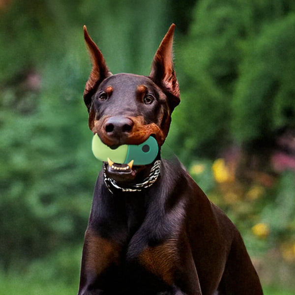 Giocattolo per cani in silicone interattivo a sfera rotolante
