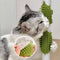 Mesa de goma Pet mascota de mascotas de scratch masajeador de rasguño