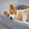 Cama para perros ovalado para toda la temporada de lavable para enfriamiento de enfriamiento suave