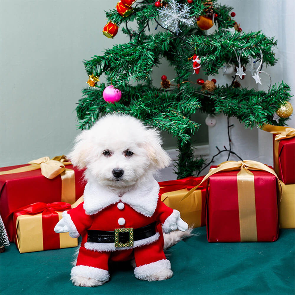 Stereoskopisches Weihnachts-Weihnachtsmann-Outfit, Hut, Cosplay, Hundekostüm