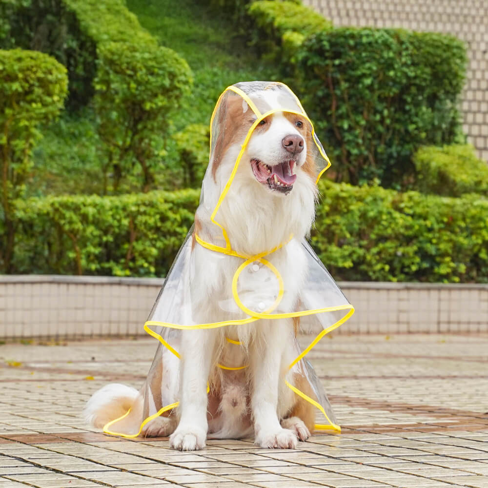 Imperméable à capuchon extérieur imperméable transparent d'EVA pour chien