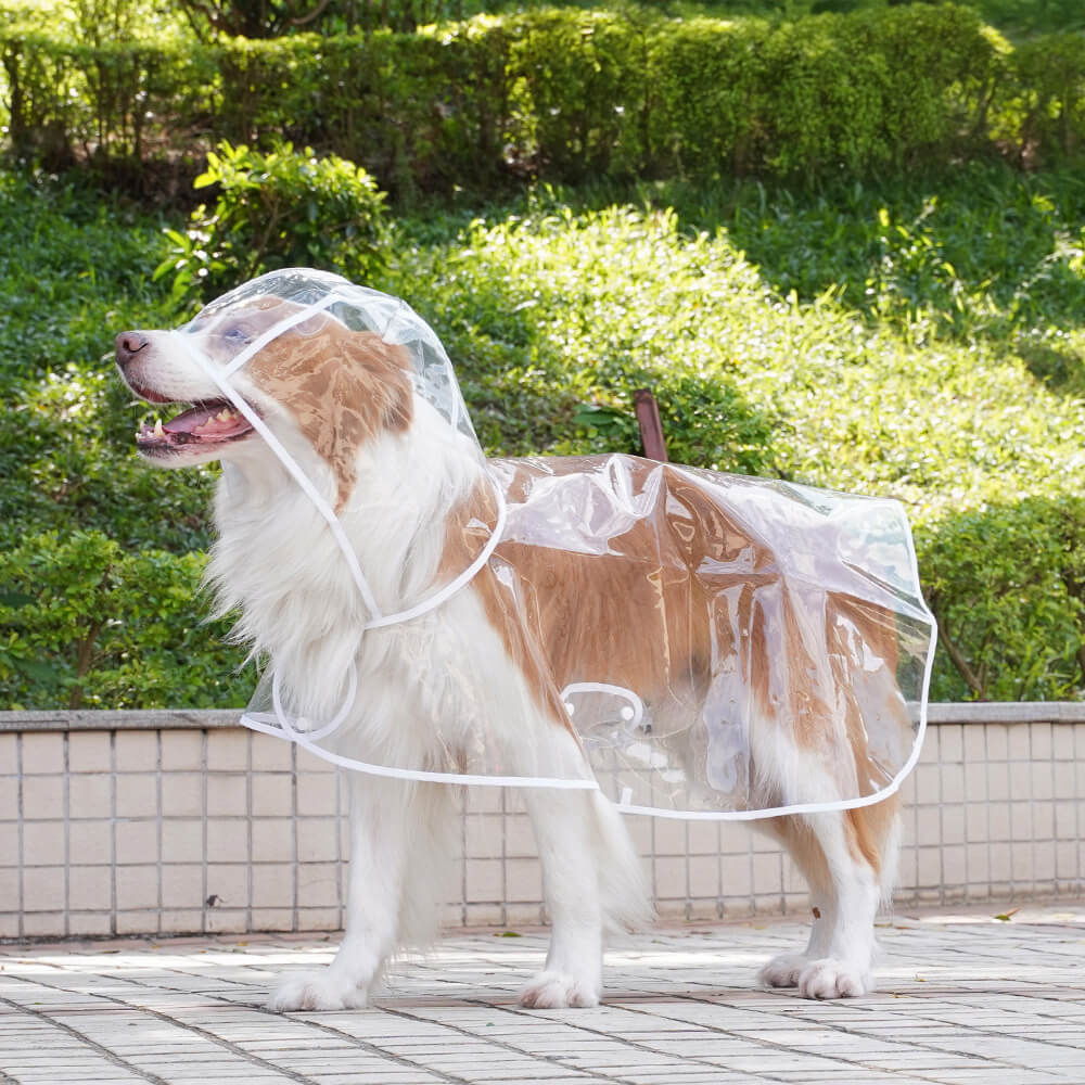 Imperméable à capuchon extérieur imperméable transparent d'EVA pour chien