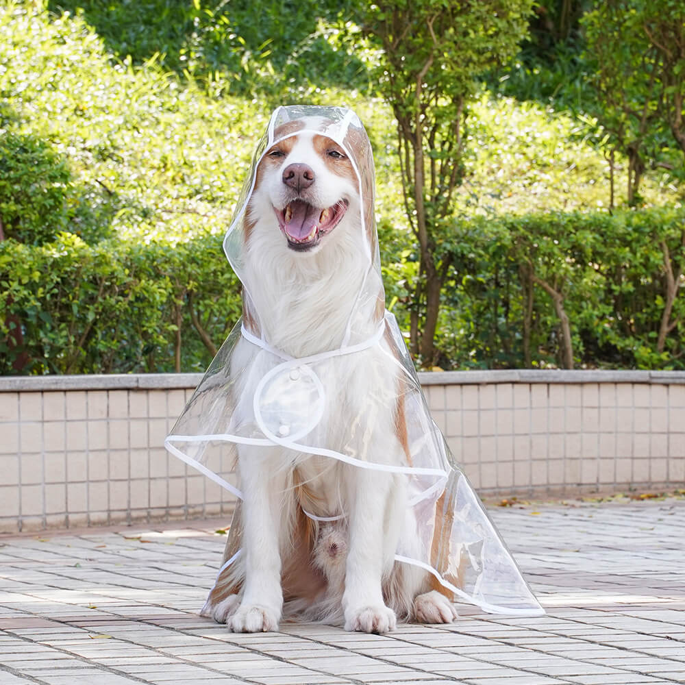 Imperméable à capuchon extérieur imperméable transparent d'EVA pour chien