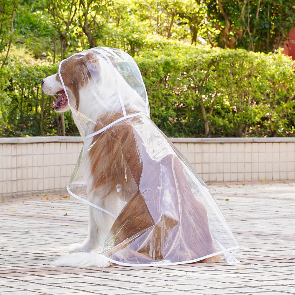 Imperméable à capuchon extérieur imperméable transparent d'EVA pour chien