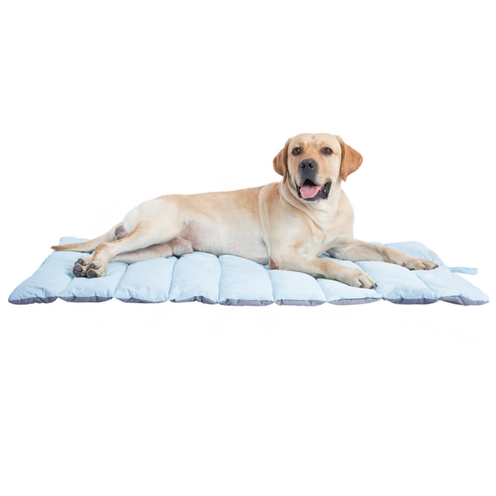 Travel Foldable Waterproof Durable Outdoor Dog Mat