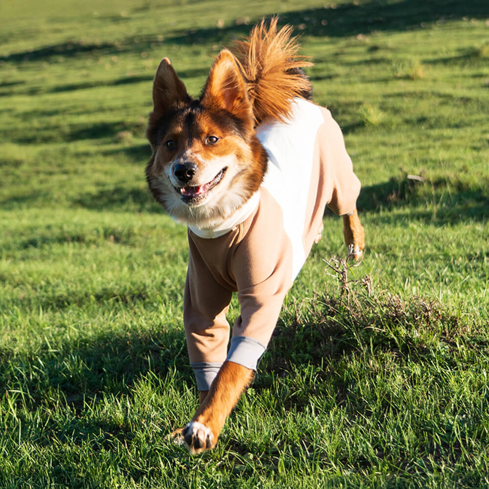 Warm Cozy Turtleneck Stretchable Four-Legged Anti-Static Outdoor Dog Bodysuit